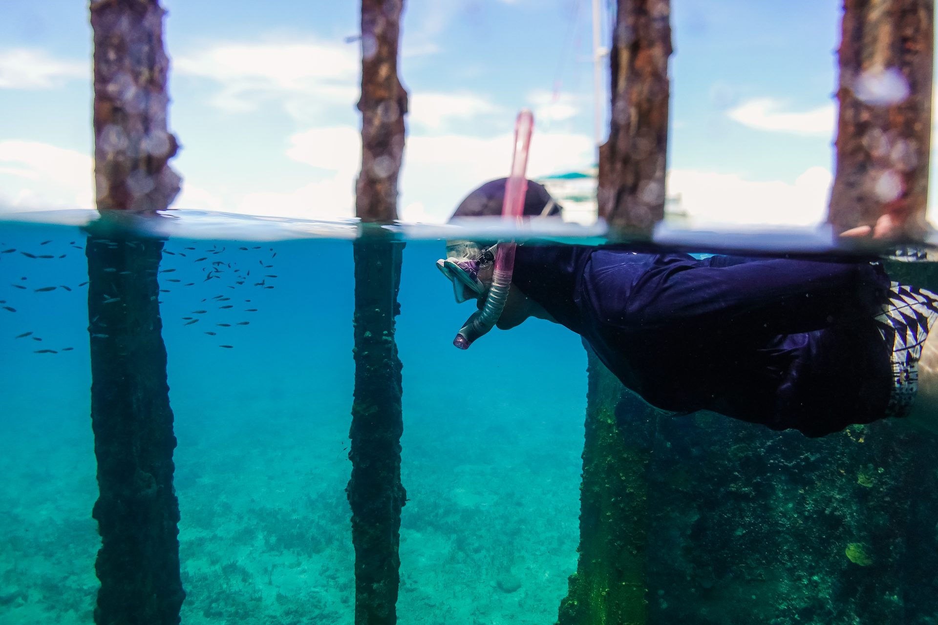 Snorkeler at the SS Sapona shipwreck, Bimini, Bahamas
